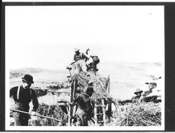 Men with hay baling equipment, Petaluma, California, about 1895