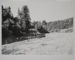 Retaining wall along the Russian River from a distance