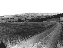 Rural landscape located on the east side of Petaluma Hill Road, across from Sonoma State University about 1980