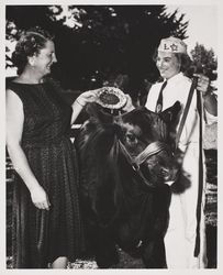 Presentation of Women's Auxiliary Pacific Coast Angus Association Trophy at the Sonoma County Fair, Santa Rosa, California, 1986