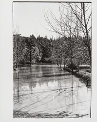 Streets of Guerneville during flood of Dec. 1937