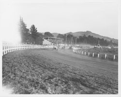 Racing cars at the Fairgrounds