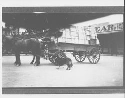 Wagon load of merchandise in front of McNear's, Petaluma, California, 1901