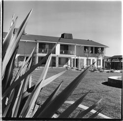 Westgate Condominium Apartments, Santa Rosa, California, 1971