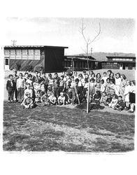 Students planting a tree at McKinley School, Petaluma, California, 1956