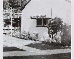 House at 815 Beaver Street viewed from the back yard, Santa Rosa, California, about 1953