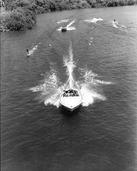 Water skiing on the Russian River, Healdsburg, California, 1963