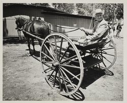 Lou Giacometti, Sr. with his cart tour, the Sonoma County Fairgrounds at the Sonoma County Fair Racetrack, Santa Rosa, California