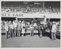 Winning horse and jockey with fans in the Winner's Circle at the Sonoma County Fair Racetrack, Santa Rosa, California