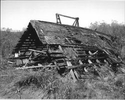 Collapsed barn located on the Masciorini Ranch taken in July of 2005