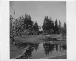 Juilliard Park, Santa Rosa, California, 1959