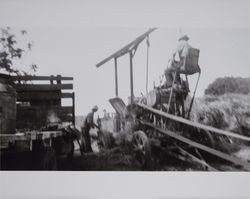 Farmhands and hay baler on the Volkerts ranch and dairy, Two Rock, California, 1940s