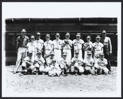 Cardinals Rincon Valley Little League team, Santa Rosa, California, 1963