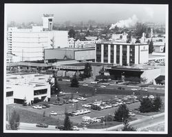 Rooftop view of downtown Santa Rosa looking northwest from City Hall ...