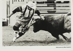 Rodeo clown and bull at the Sonoma County Fair Rodeo, Santa Rosa, California