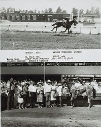 Photo finish and Winner's Circle for #5 horse "Bonded Irish" at the Sonoma County Fair Racetrack, Santa Rosa, California