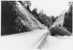 Unidentified Sonoma County road passing through a deep road cut, 1960s or 1970s