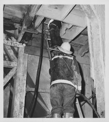 Petaluma Fire Department firefighters climbing a ladder into and attic of an unidentified building during a fire in Petaluma, California, 1950s or 1960s