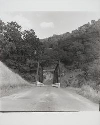 Bridge on the way to Mercuryville