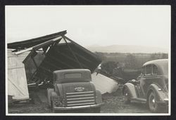 View of cars and the Laguna from Sebastopol