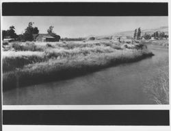 South of Hay Stack Landing looking north, Petaluma, California, 1937