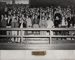 Spectators at the Petaluma Leghorn game against Crockett