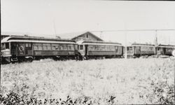 Petaluma and Santa Rosa Railroad cars in Petaluma, California, about 1930