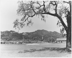 Hood Mountain from the Oakmont Golf Course, Santa Rosa, California, 1970s