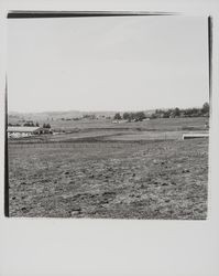 Wickes Lumber, Petaluma, California, 1977