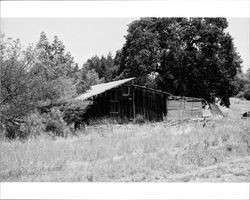 Outbuilding located at 1480 Los Olivos Road, Santa Rosa, California, 1987