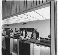 Counter at Main Post Office, Santa Rosa, California, 1979