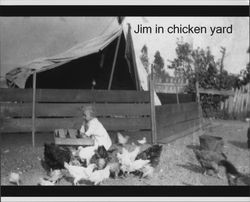 Jim Nissen in the chicken yard, Petaluma, California, about 1920