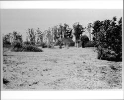 View of Foster Ranch complex