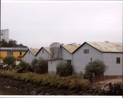 Rear view of former Ralston Purina Co. warehouses located on Weller Street between the Petaluma River, D and East Washington Street, Petaluma, Sept. 6, 2006