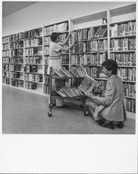 Placing books on the shelves in the library, Geyserville