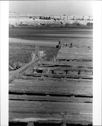 View of McNear Peninsula, Petaluma River, and Highway 101 Bridge looking southeast. Petaluma, California, 1973