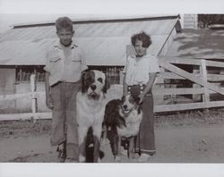 Oliver A. and Gloria Kullberg, 5100 Lakeville Highway, Petaluma, California, in the 1930s