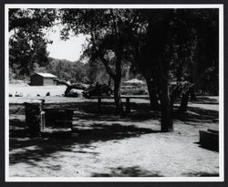 Picnic area at Howarth Park, Santa Rosa, California