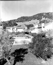 Mission Point, Sonoma, California, 1966