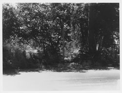 Near Matanzas Creek, south of Sonoma Avenue at the north edge of Highway 12, 1960