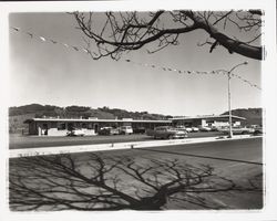 Larkfield Center, Santa Rosa, California, 1960