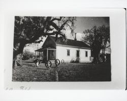 Lone Redwood School