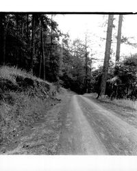 Trail at Annadel Park, Santa Rosa, California, 1971