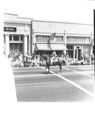 Equestrian units in the Sonoma-Marin Fair Parade, Petaluma, California, 1967