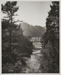 Bridge at Guerneville