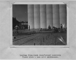 Laying concrete floor at the Poultry Producers of Central California mill warehouse in Petaluma, California, 1938