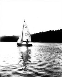 Sailboats on Lake Ralphine, Santa Rosa, California, 1965