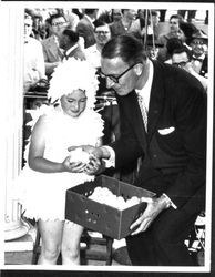 Estes Kefauver with a box of chickens and a girl dressed as a chicken, Petaluma, California, 1956