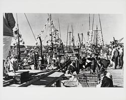 Boats decorated for Discovery Day docked at the Tides Wharf