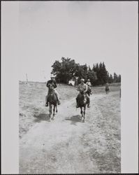 Redwood Rangers on the trail to the Gianoli Ranch, Sonoma County, California, July 1946